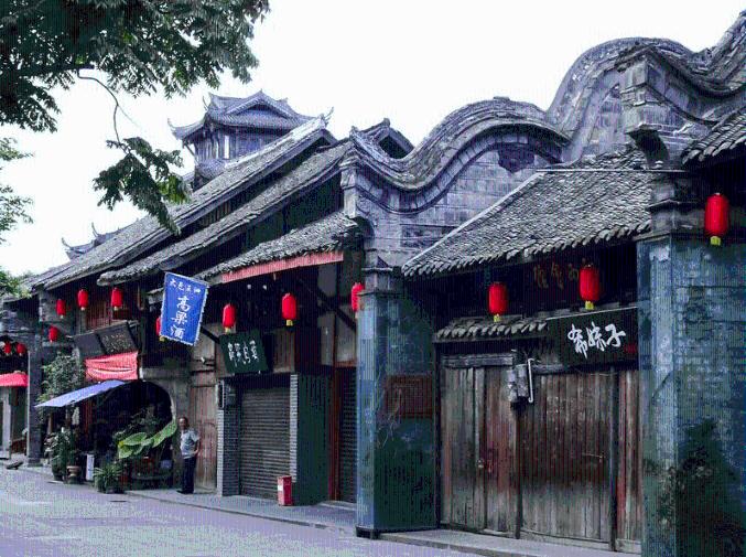 美人鱼的聚会